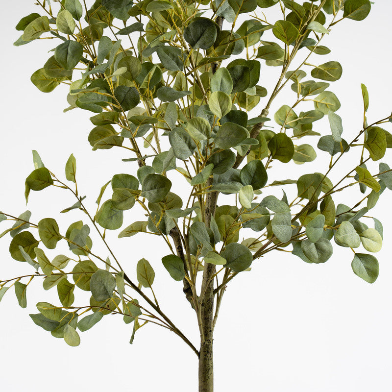 Artificial Eucalyptus Tree 185cm